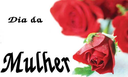 08 de Março: Dia Internacional da Mulher